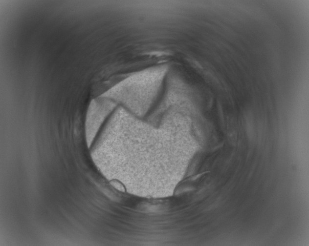 X0000081390563200702090041