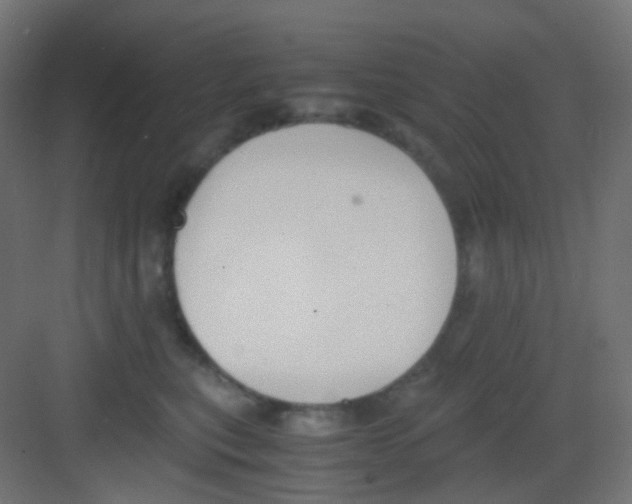 X0000081390567200702090041