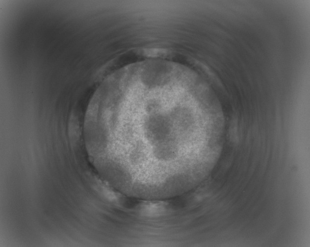 X0000081390569200702090041