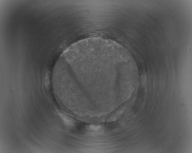 X0000081390570200702090041