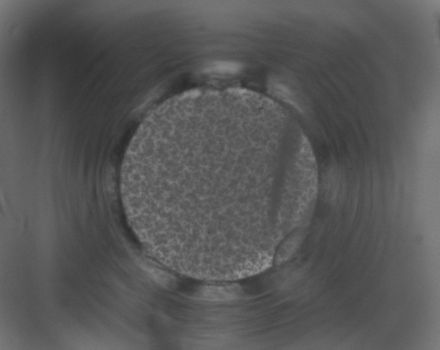 X0000081390571200702090041