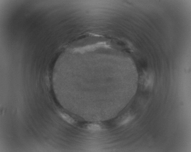 X0000081390572200702090041