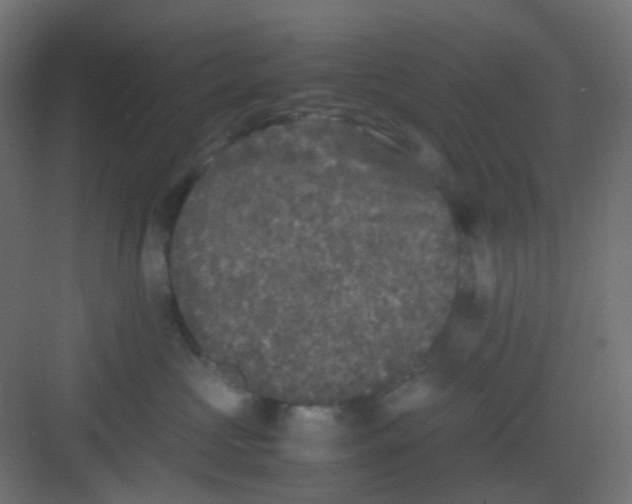 X0000081390573200702090041