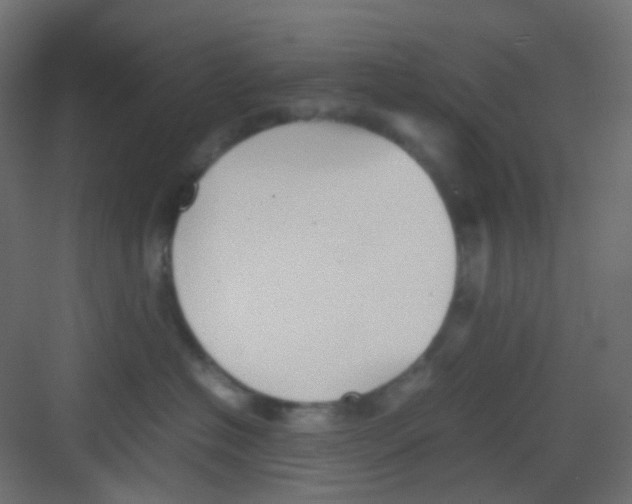 X0000081390574200702090041