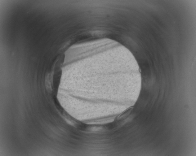 X0000081390575200702090041