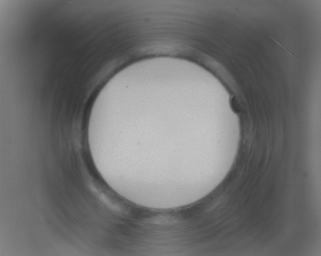 X0000081390578200702090040