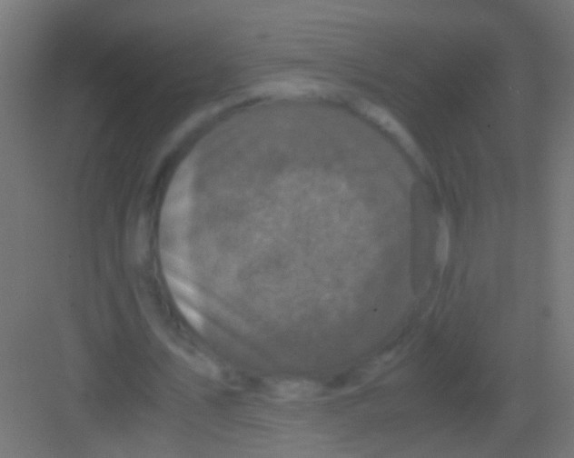 X0000081390579200702090040