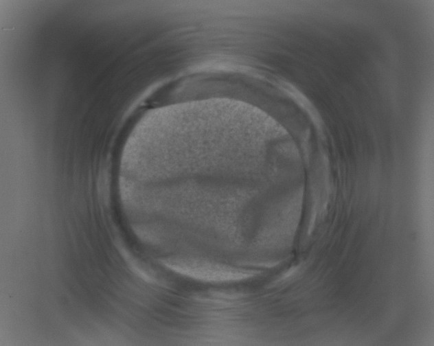 X0000081390580200702090040