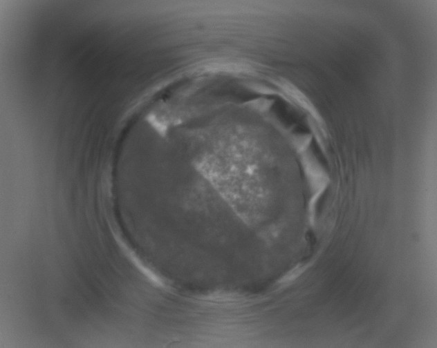 X0000081390581200702090040