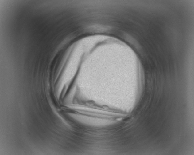 X0000081390582200702090040