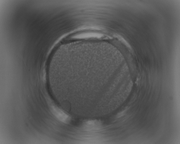 X0000081390584200702090040