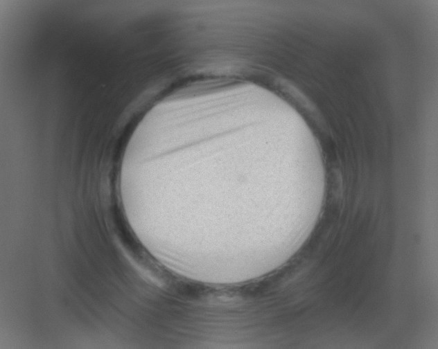 X0000081390586200702090040