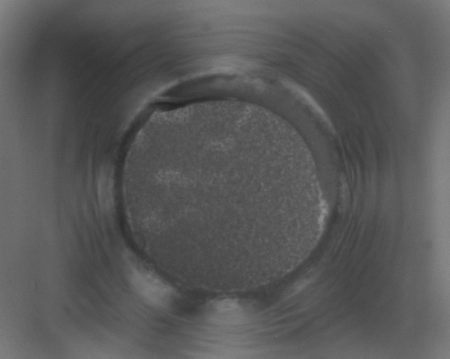 X0000081390588200702090040