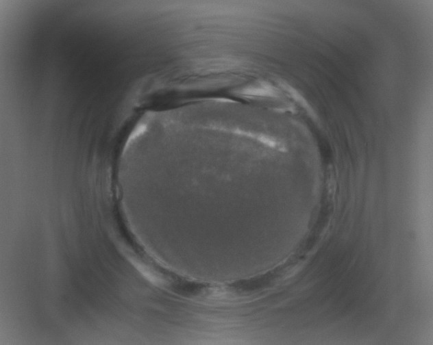 X0000081390589200702090040