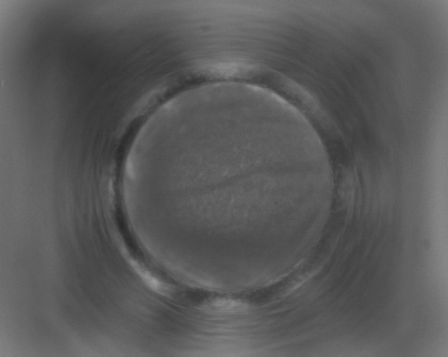 X0000081390590200702090040