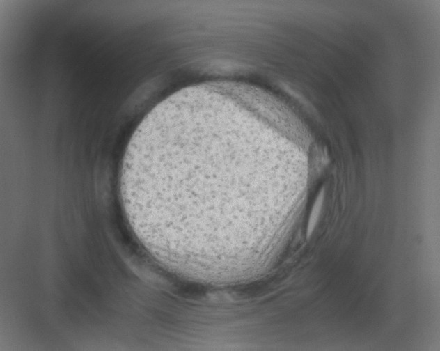 X0000081390591200702090040