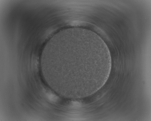 X0000081390592200702090040