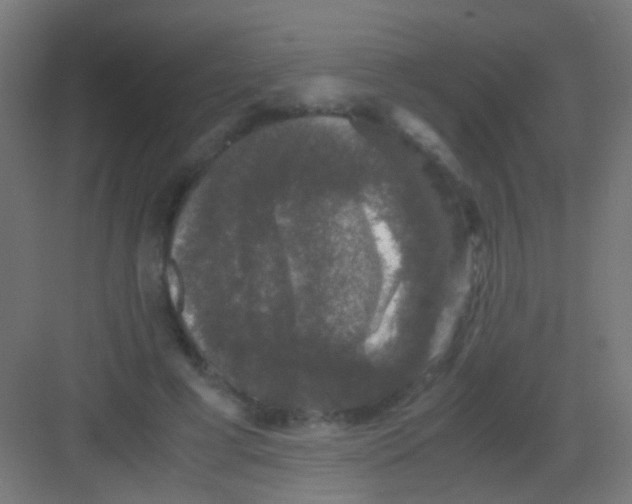 X0000081390593200702090040