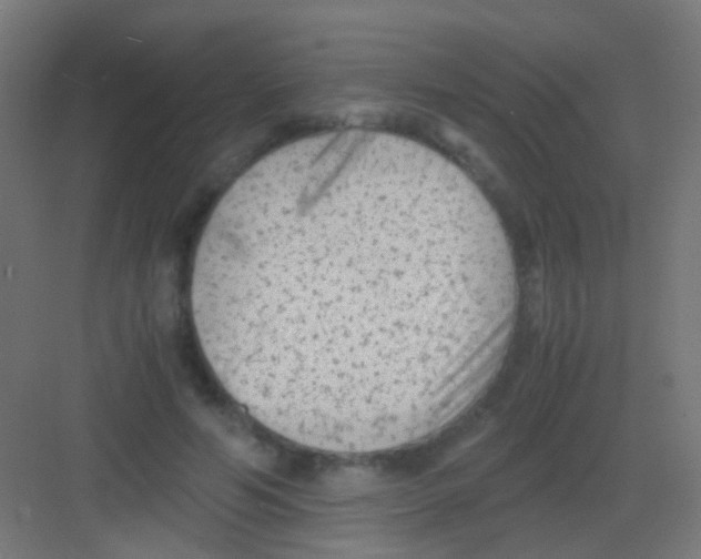 X0000081390594200702090040