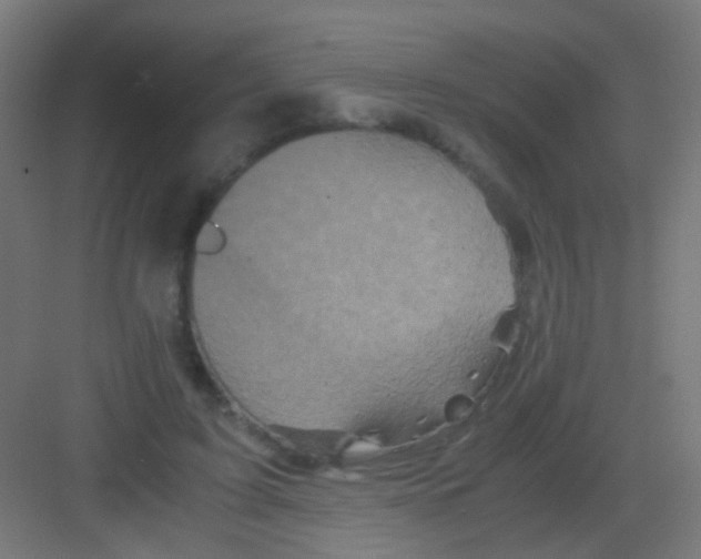 X0000081390595200702090040