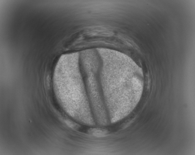 X0000081390597200702090040