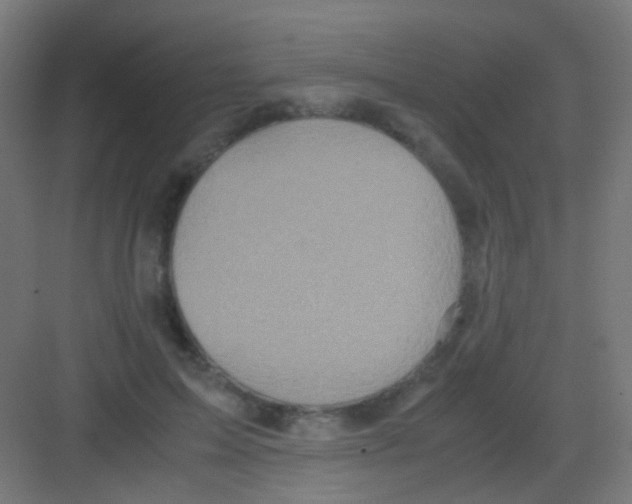 X0000081390599200702090040