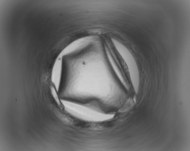 X0000081390601200702090040