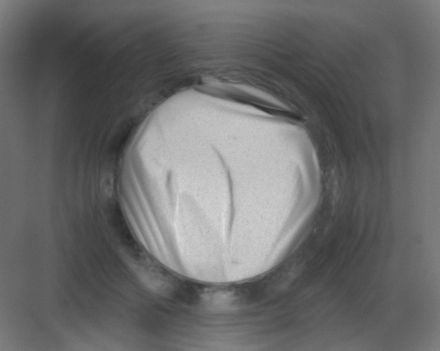 X0000081390602200702090040