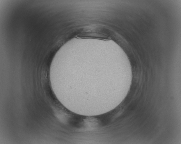 X0000081390603200702090040