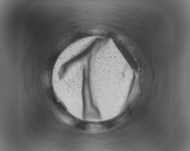 X0000081390605200702090040