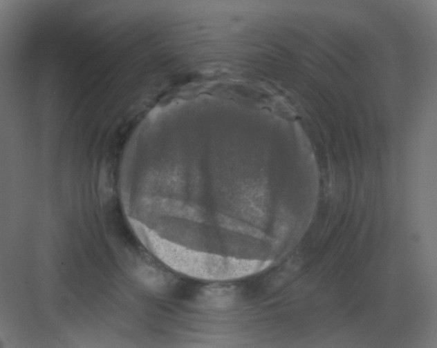 X0000081390606200702090040