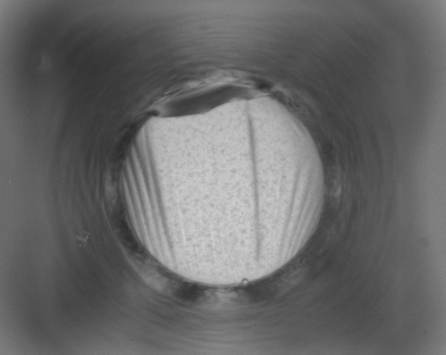 X0000081390607200702090040