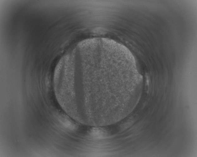 X0000081390608200702090040