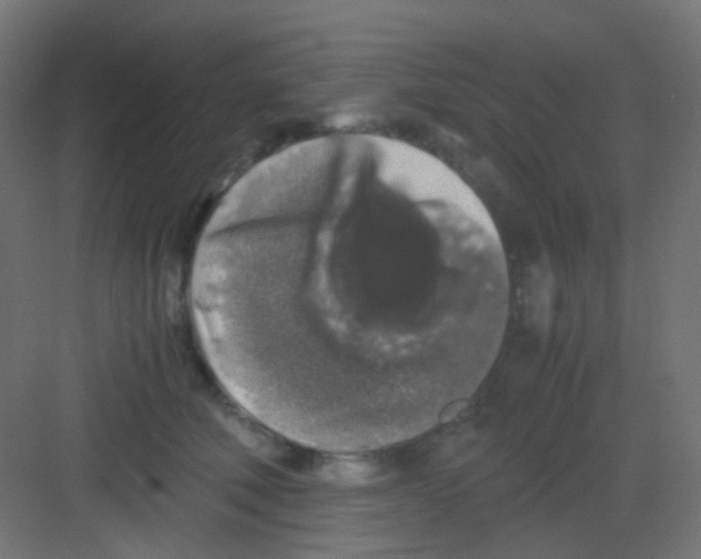 X0000081390610200702090039