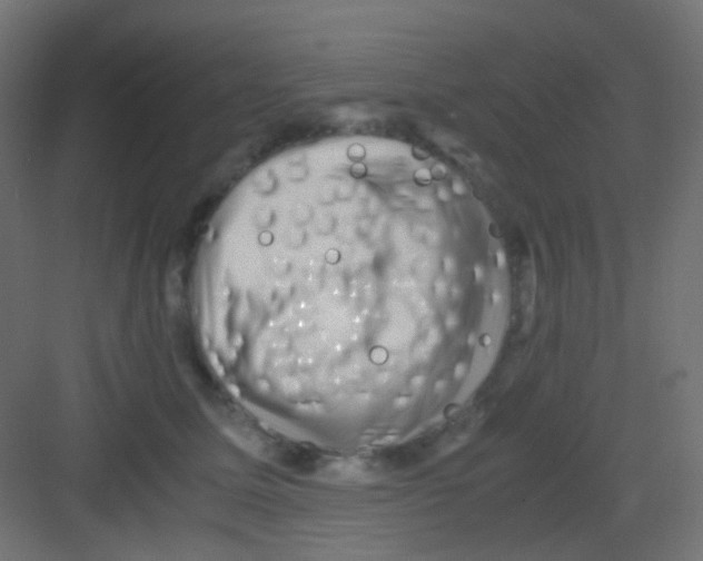 X0000081390611200702090039