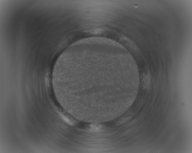 X0000081390612200702090039