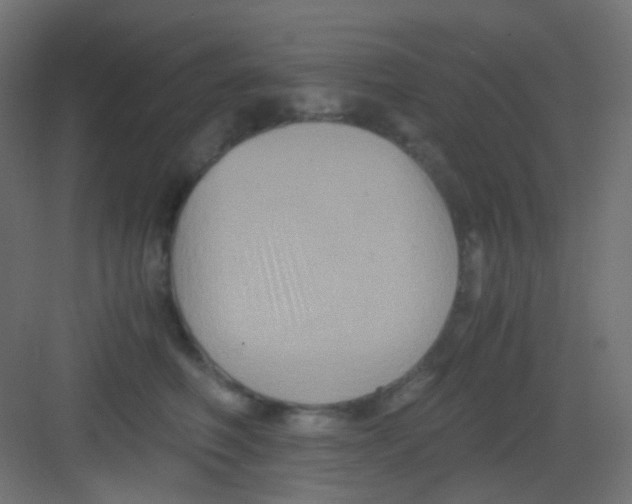 X0000081390614200702090039