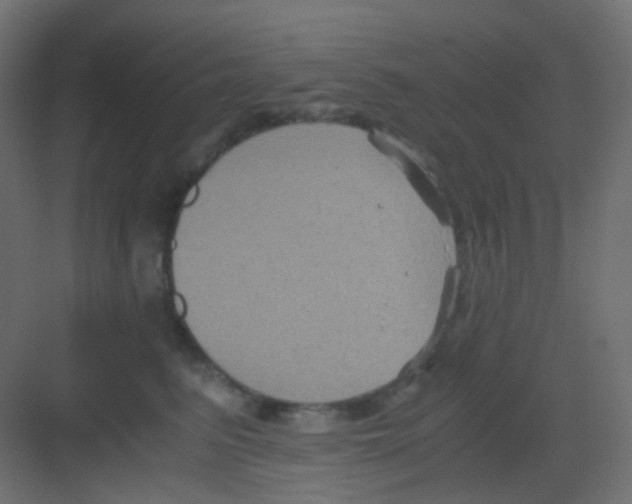 X0000081390615200702090039