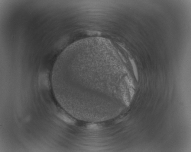 X0000081390616200702090039