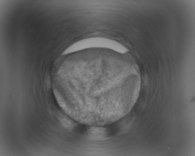 X0000081390617200702090039