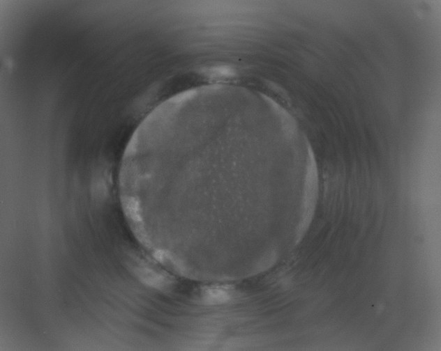 X0000081390618200702090039