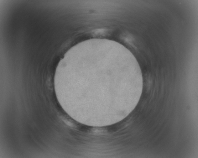 X0000081390619200702090039