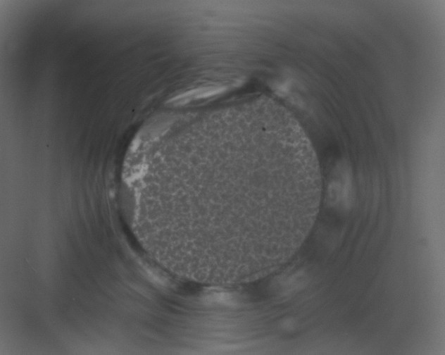 X0000081390620200702090039