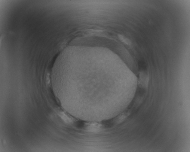 X0000081390621200702090039