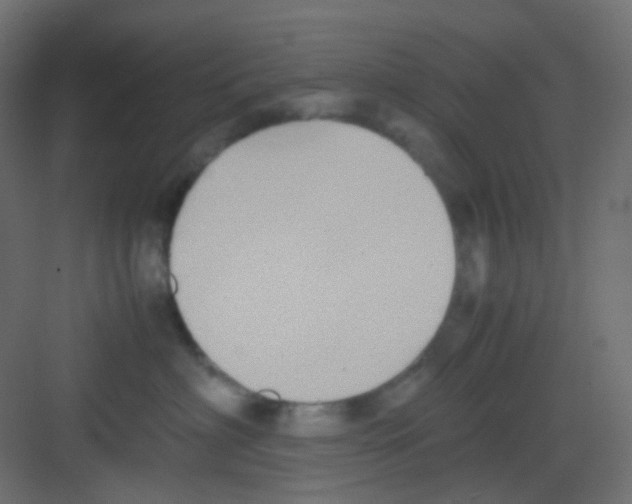 X0000081390622200702090039