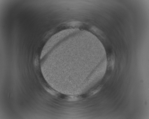 X0000081390623200702090039