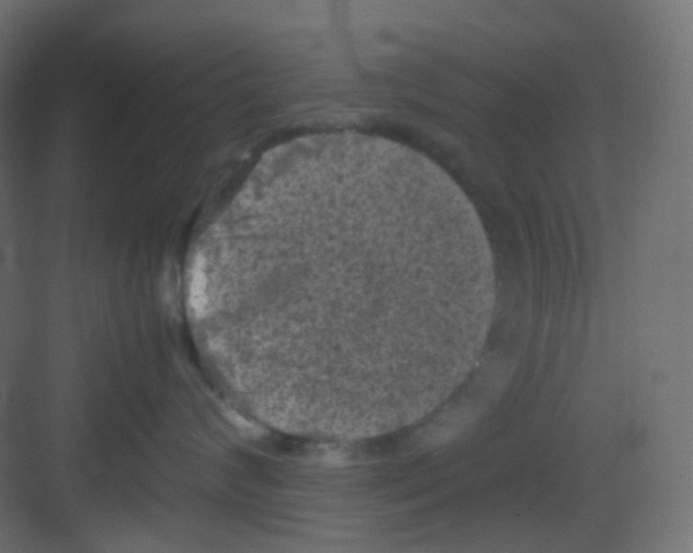 X0000081390624200702090039