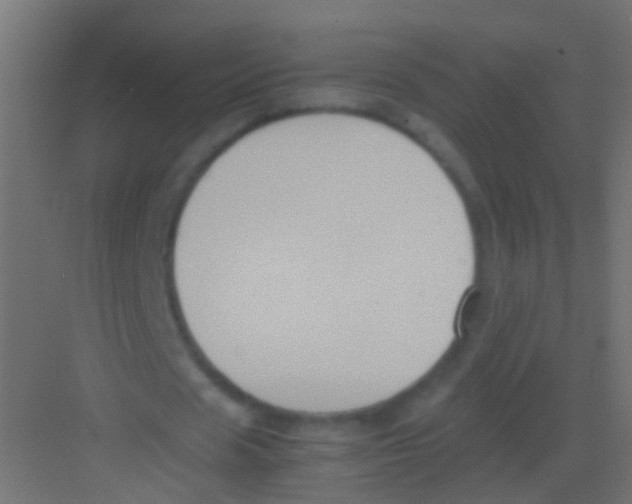 X0000081390625200702090038