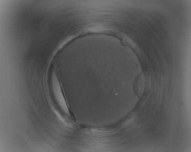 X0000081390626200702090038