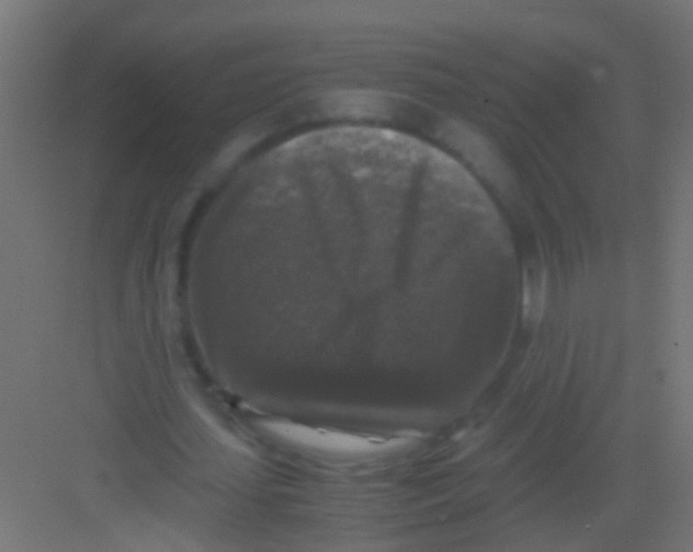 X0000081390627200702090038